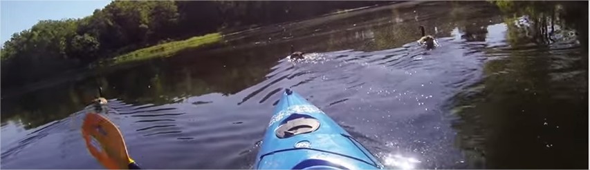 GoPro –  des images de folie, mais aussi la vraie vie